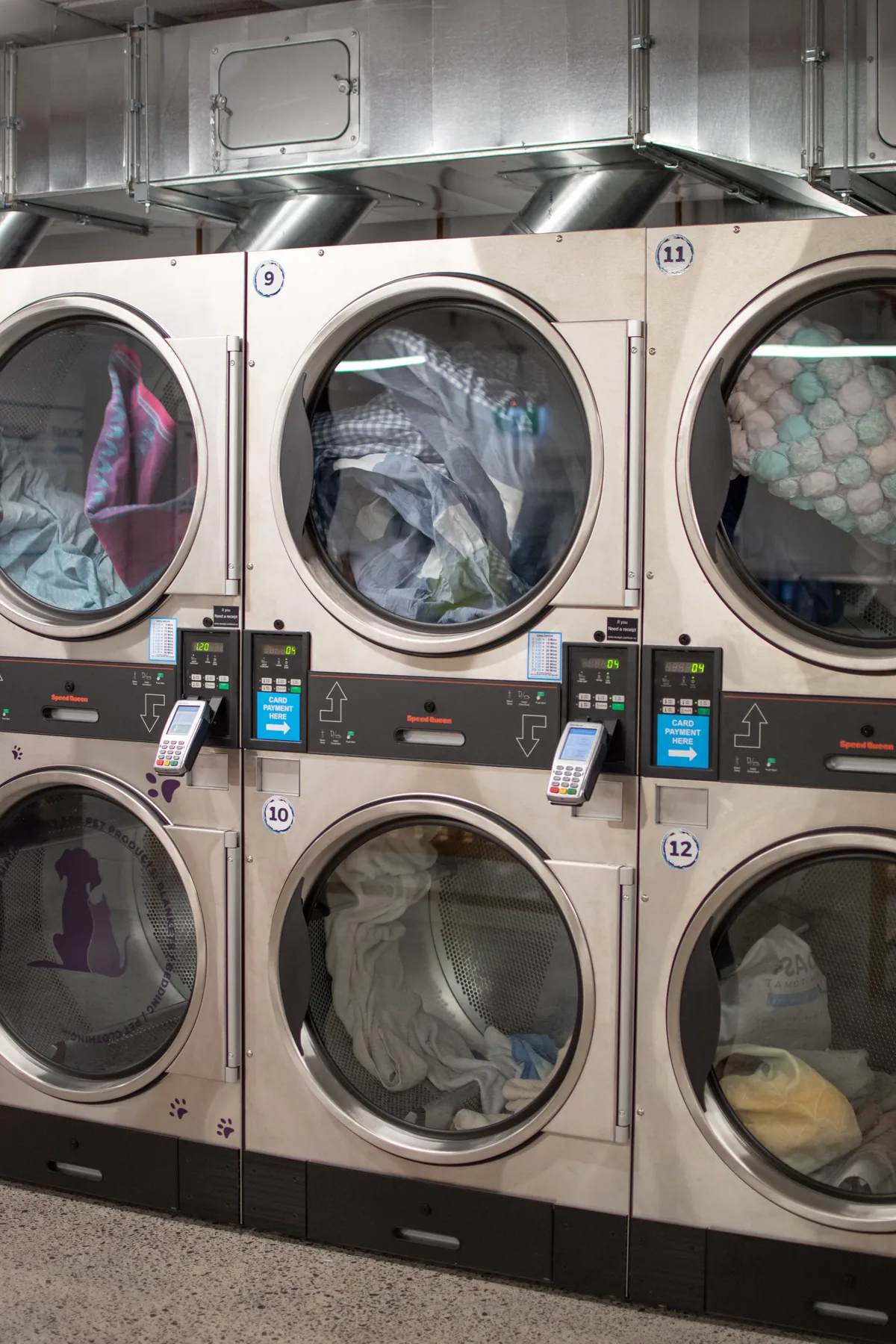 Purple Paws pet dryer with dog silhouette at Coast Laundromat Whangaparaoa